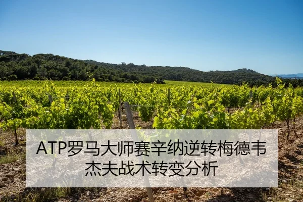 luo-ma-da-shi-sai-xin-na-ni-zhuan-mei-de-wei-jie-fu-zhan-shu-zhuan-bian-fen-xi-2-109.jpg